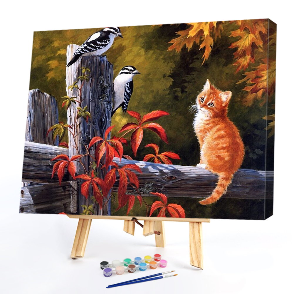 

40*30CM Paint By Numbers-Cat, 501 Original