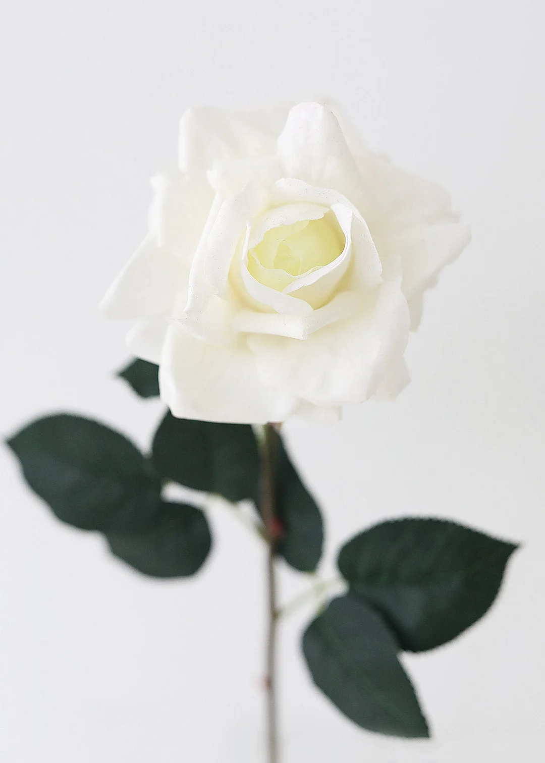 Cream Real Touch Rose Fake Flower - 20.5"