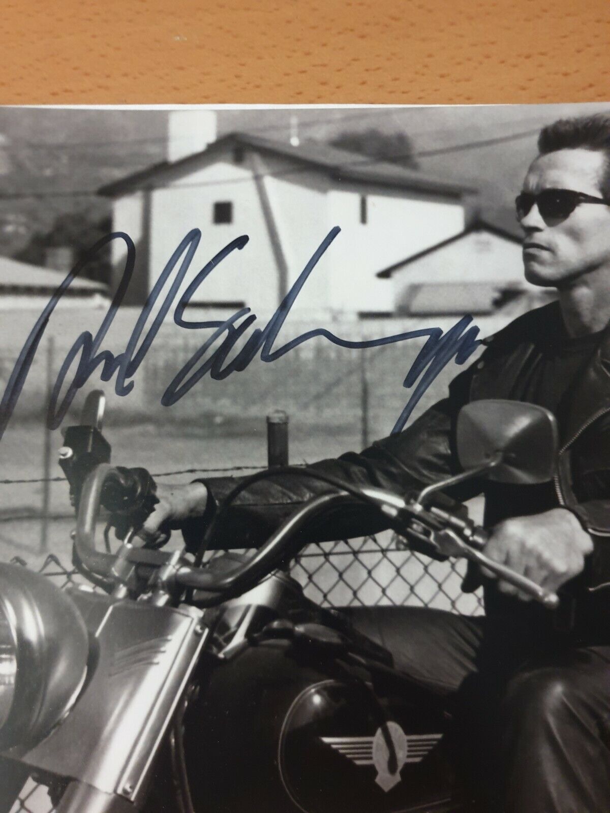 Hand Signed Arnold Schwarzenegger Terminator, Predator 10x8 Photo Poster painting