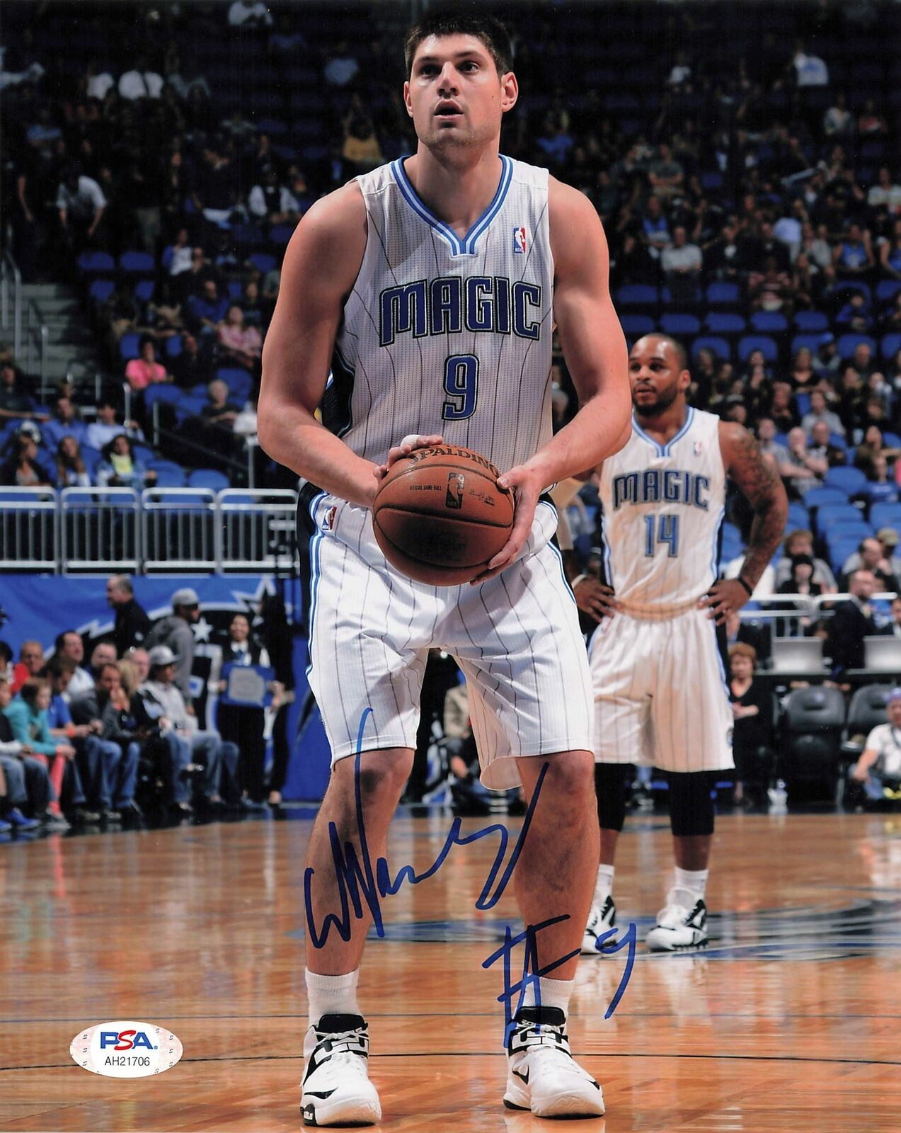 Nikola Vucevic signed 8x10 Photo Poster painting PSA/DNA Orlando Magic Autographed