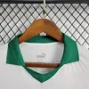 2024/2024 Palmeiras Away Football Shirt 1:1 Thai Quality