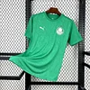 25/26 Mens Palmeiras Pre-Match Jersey