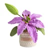 Crochet Flowers Potted Plants Decorative Crochet Ornaments DIY Gifts for Friends