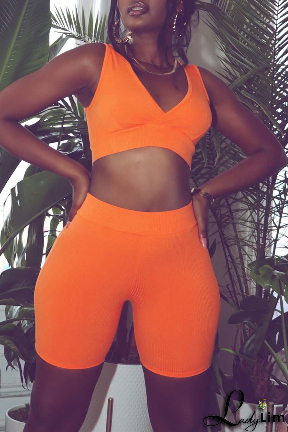 Blue Fashion Casual Sportswear Solid Patchwork V Neck Sleeveless Two Pieces