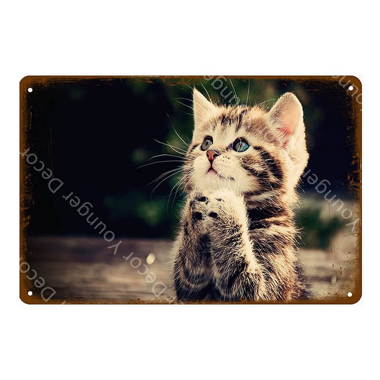 【20*30cm/30*40cm】Animal Cat Art - Vintage Tin Signs/Wooden Signs