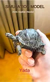 Tortoise Tortoise Model Resin Yada Angoloka Radiated Tortoise Ornaments Landscaping