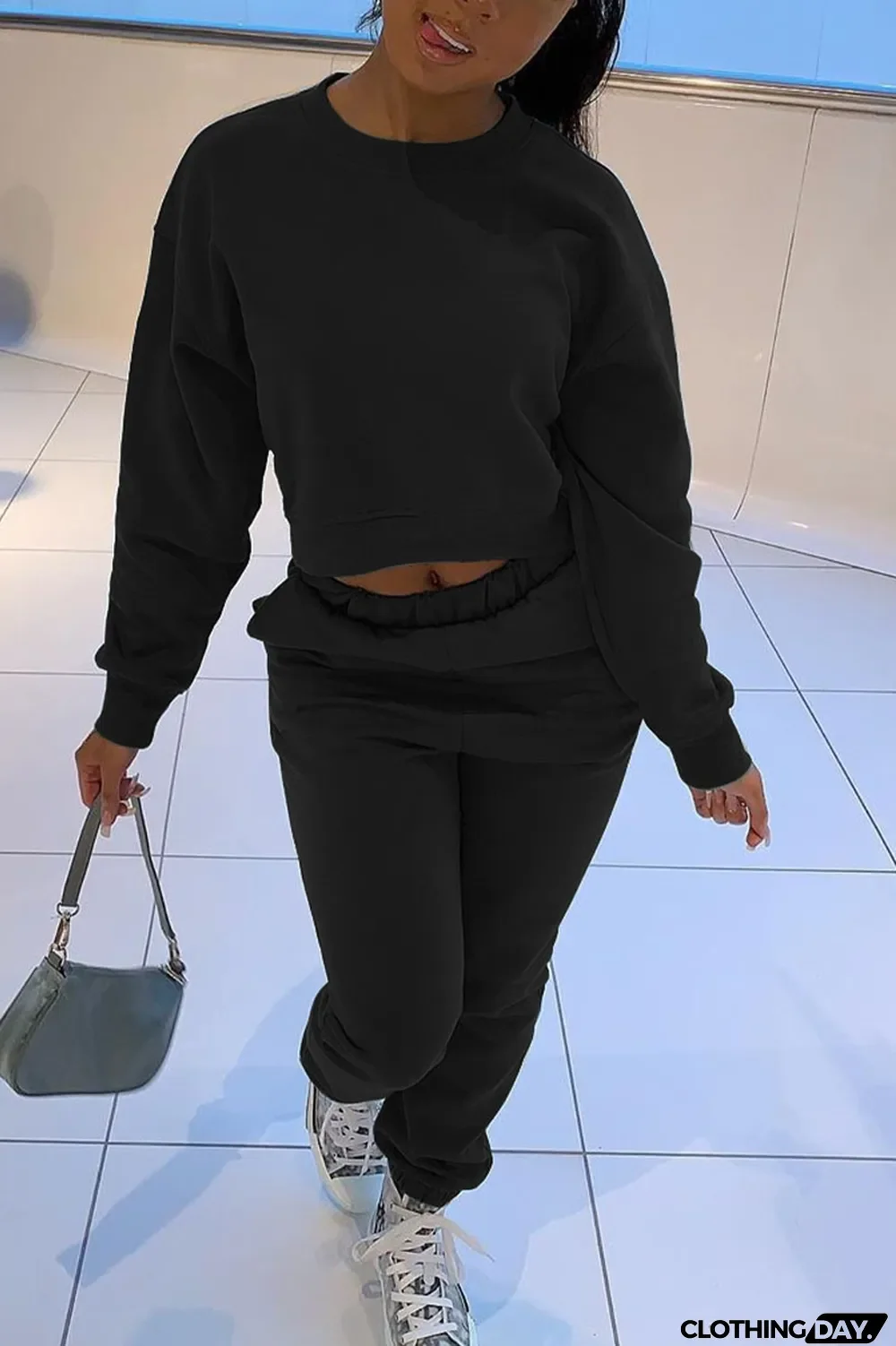 Blue Casual Solid Long Sleeve Two Pieces