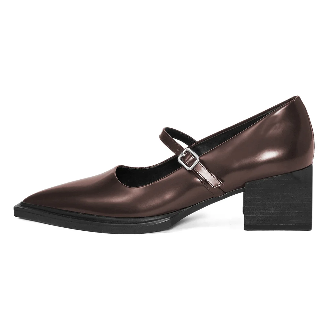 YDN Brown Pointed Toe Buckle Strap Chunky Heel Mary Jane Pumps