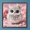 Owl-Special Shaped Diamond Painting