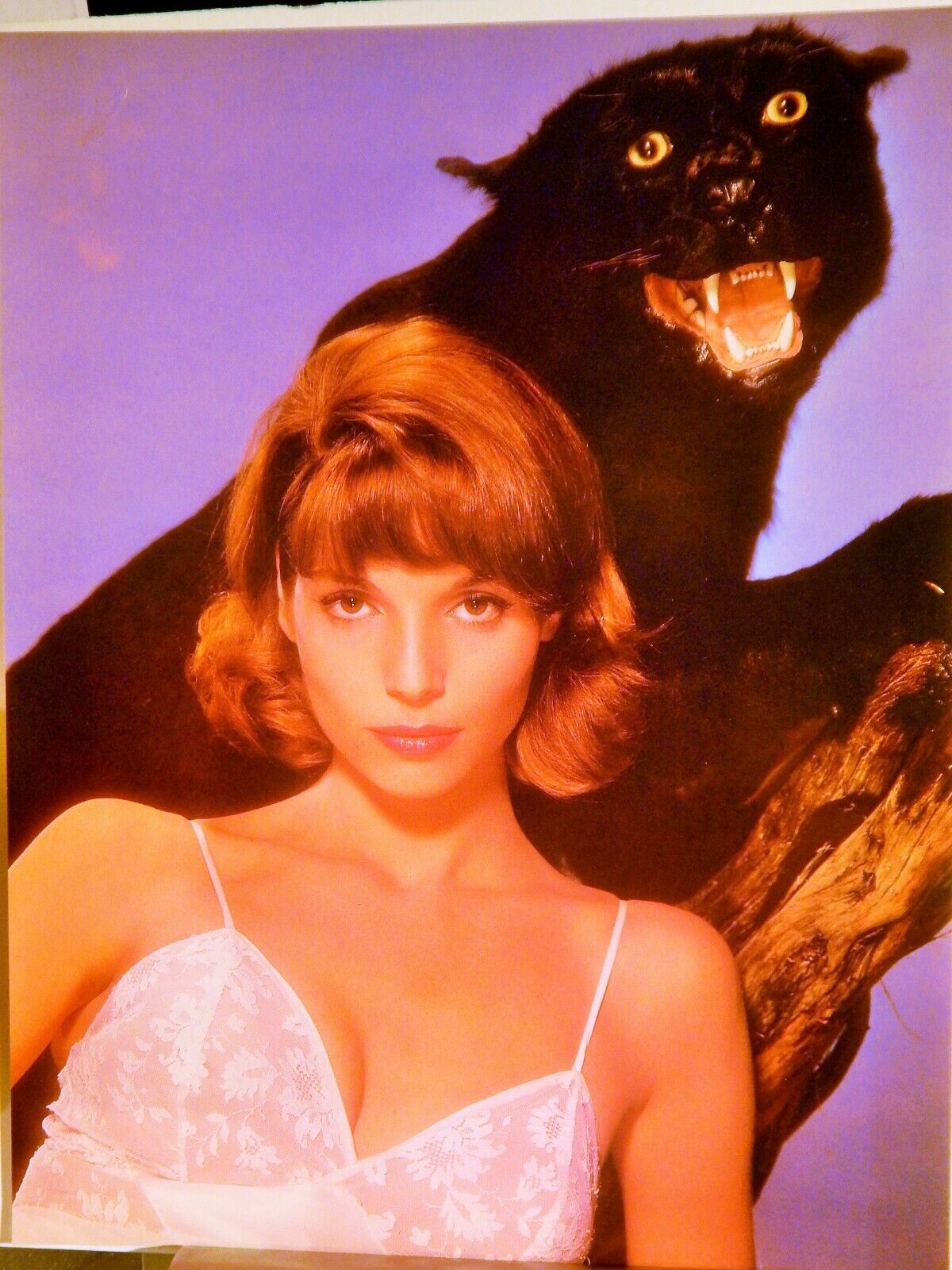 ELSA MARTINELLI 1963 / JOAN COLLINS 1954 PUBLICITY Photo Poster painting HI-DEF(1987 reprint)