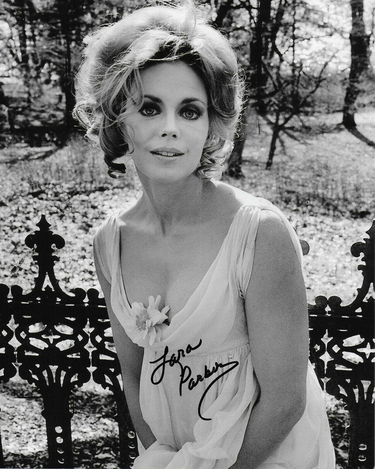 Lara Parker Original Autographed 8x10 Photo Poster painting - Dark Shadows, Save the Tiger