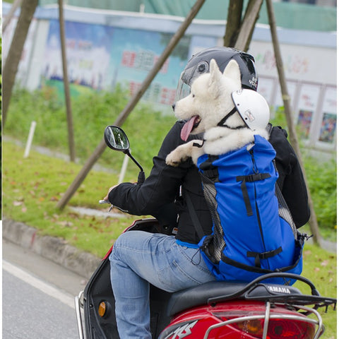 Motorcycle Dog Carrier - Pet Carrier & Purse | GROOMY