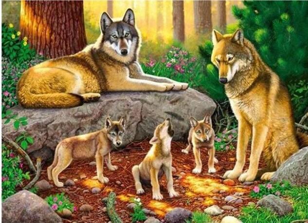 

Wolf Family – Paint By Numbers - 40*50CM, 501 Original