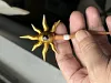 Wizarmon & Sorcermon & Tailmon - Digimon Statue - TiaoTiao Hall Studio