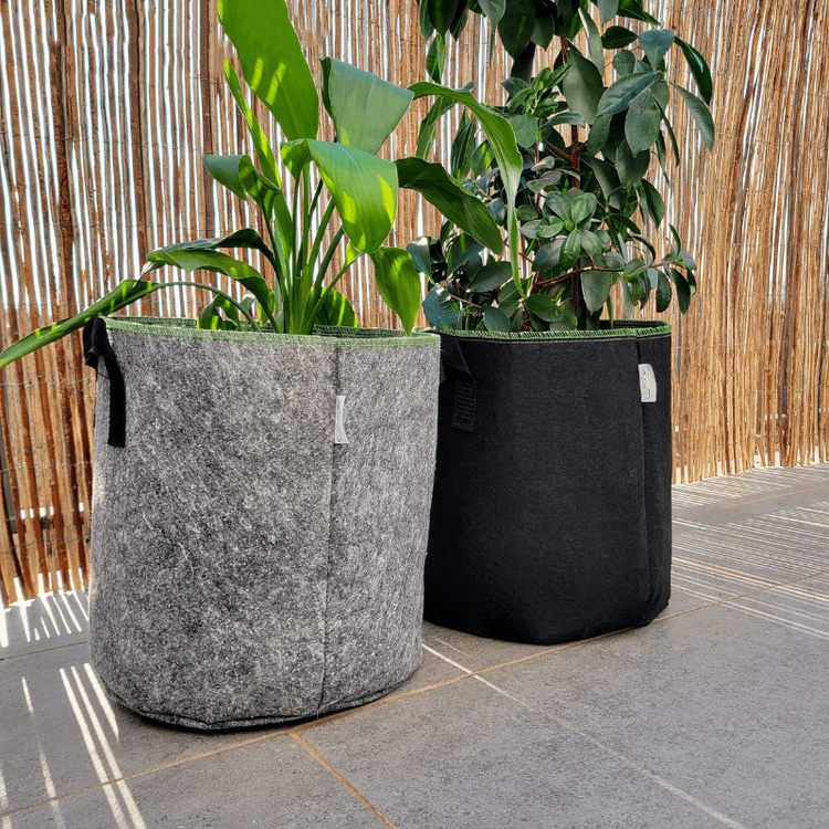Micro-aerated geotextile planting bag