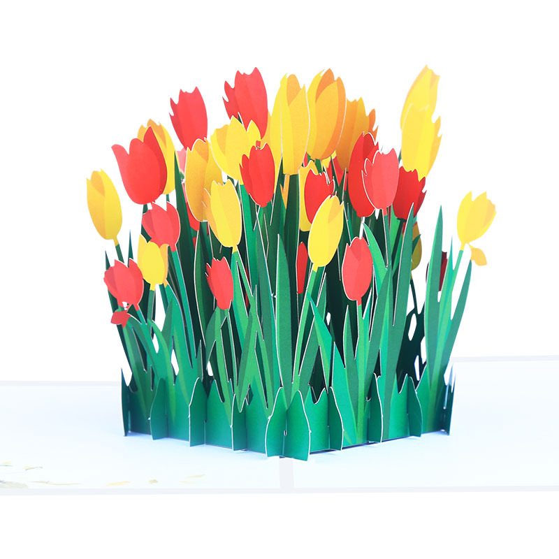 Tulips Pop Up Card