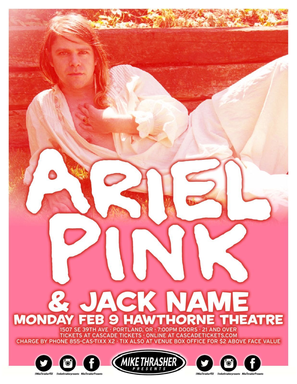 ARIEL PINK 2015 Gig POSTER Portland Oregon Concert