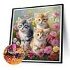 (US Only)Cats 5D DIY Full Drill Round Diamond Painting Kit for Home Wall Room Decor