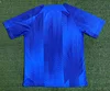 2023/2024 Barcelona Training Wear Blue Jersey perfectftball