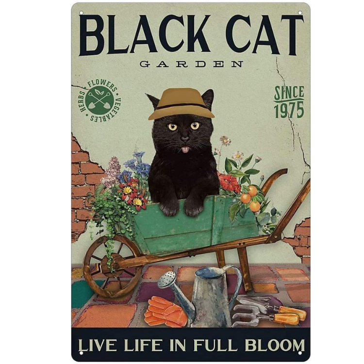 Black Cat Garden - Vintage Tin Signs/Wooden Signs - 7.9x11.8in & 11.8x15.7in