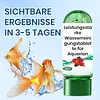 🐠💧 Comprim&eacute; Puissant de Purification de l'Eau pour Aquarium🔥