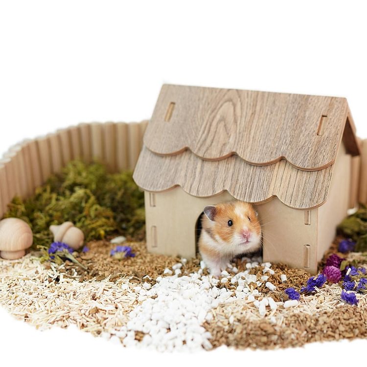 small hamster house