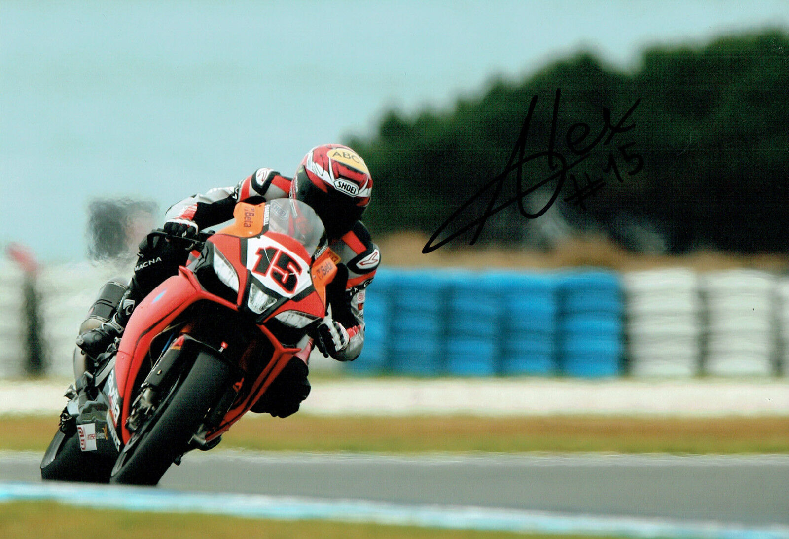 Alex De ANGELIS SIGNED WSBK Autograph 12x8 Aprilia Rider Photo Poster painting B AFTAL COA