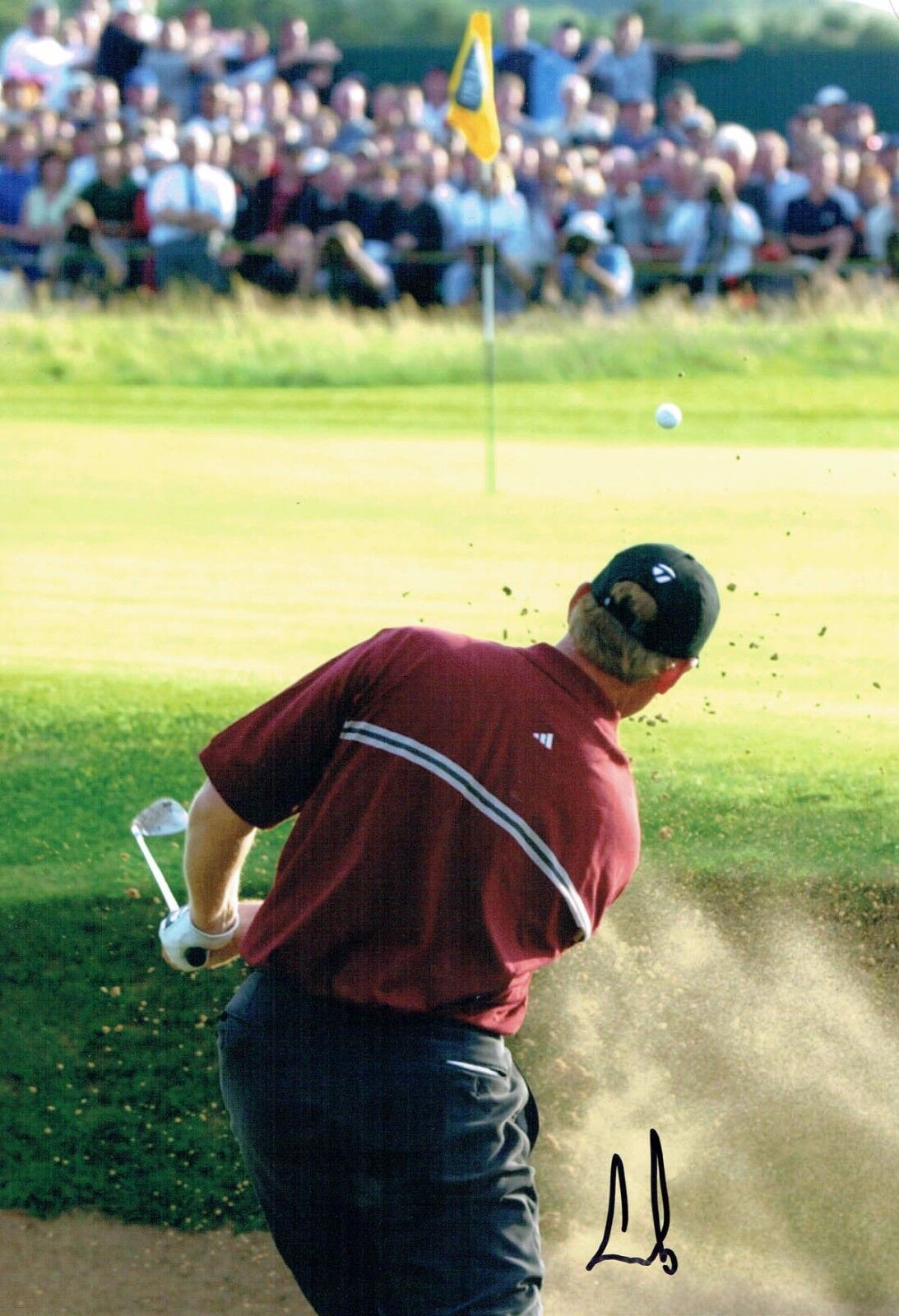 Ernie ELS SIGNED AUTOGRAPH 12x8 Photo Poster painting 2 AFTAL COA 2002 Muirfield Golf Winner