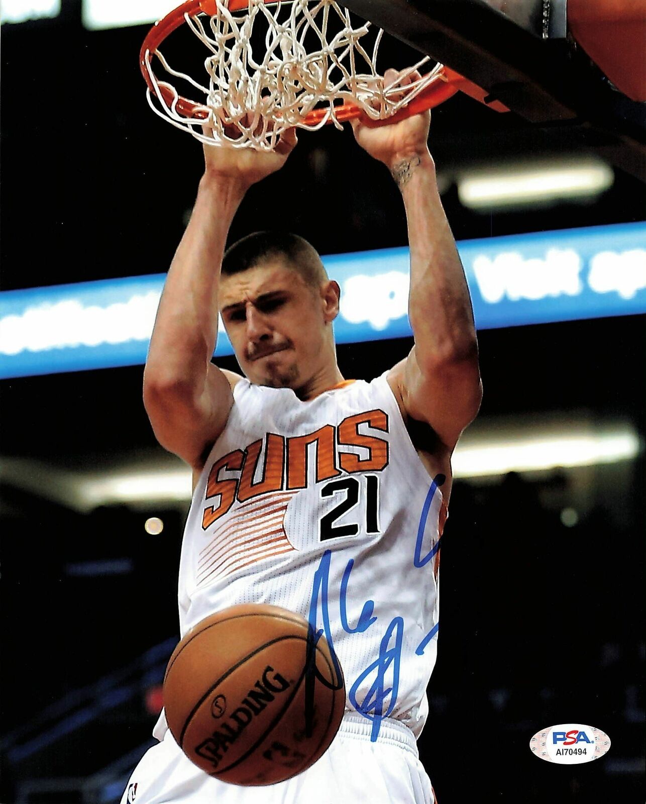 Alex Len signed 8x10 Photo Poster painting PSA/DNA Phoenix Suns Autographed Kings