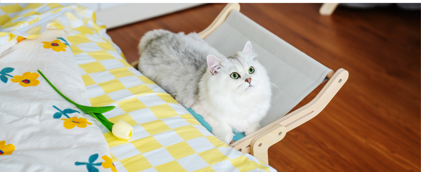 cat window perch