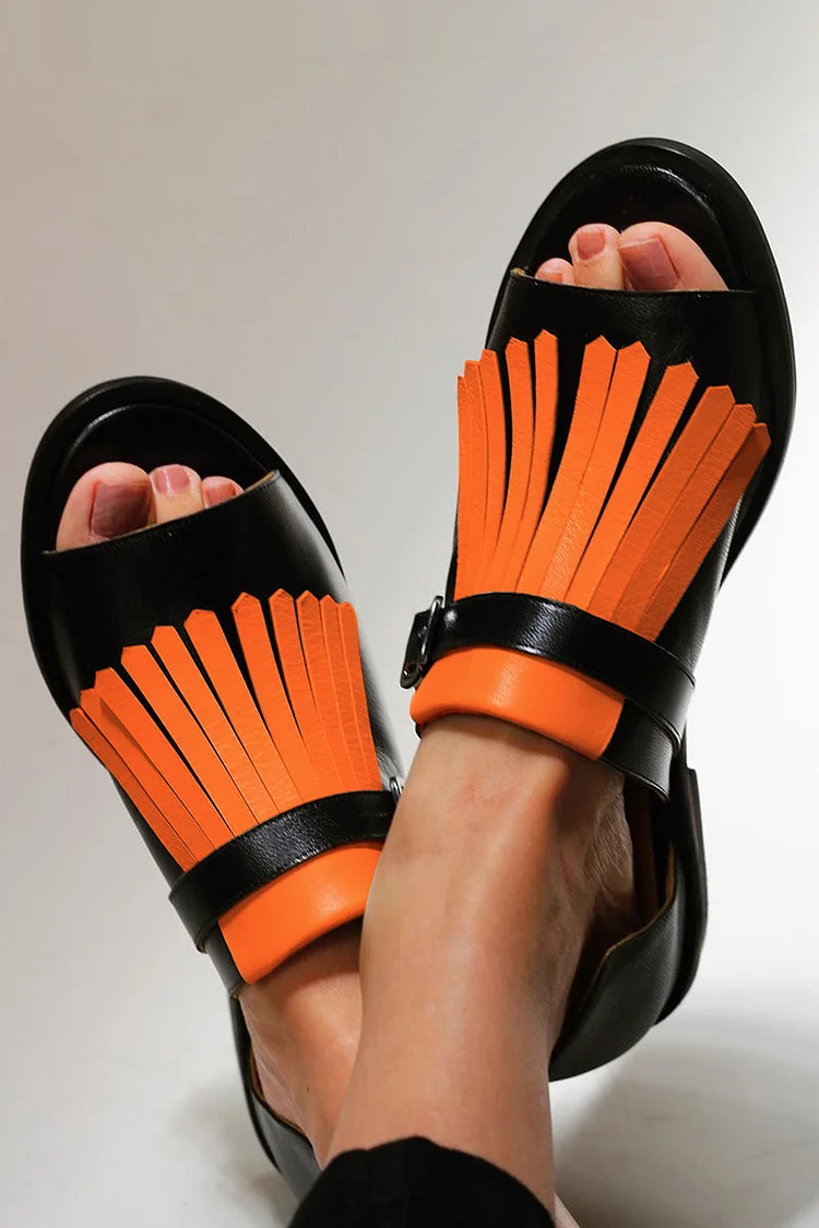 Colorblock Fringed Trim Strap Buckle Peep Toe Black Sandals
