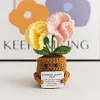 (Finished Product)Crochet Flower Potted Doll with Positive Card Desktop Ornaments, Potted Plants, Bouquets Gift Home Decor