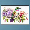 uk.everydayedeals (Limited Stock)Diamond Painting - Full Round - Hummingbird on A Branch(40*60cm)