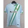 25/26 Real Betis Soccer Jersey Away