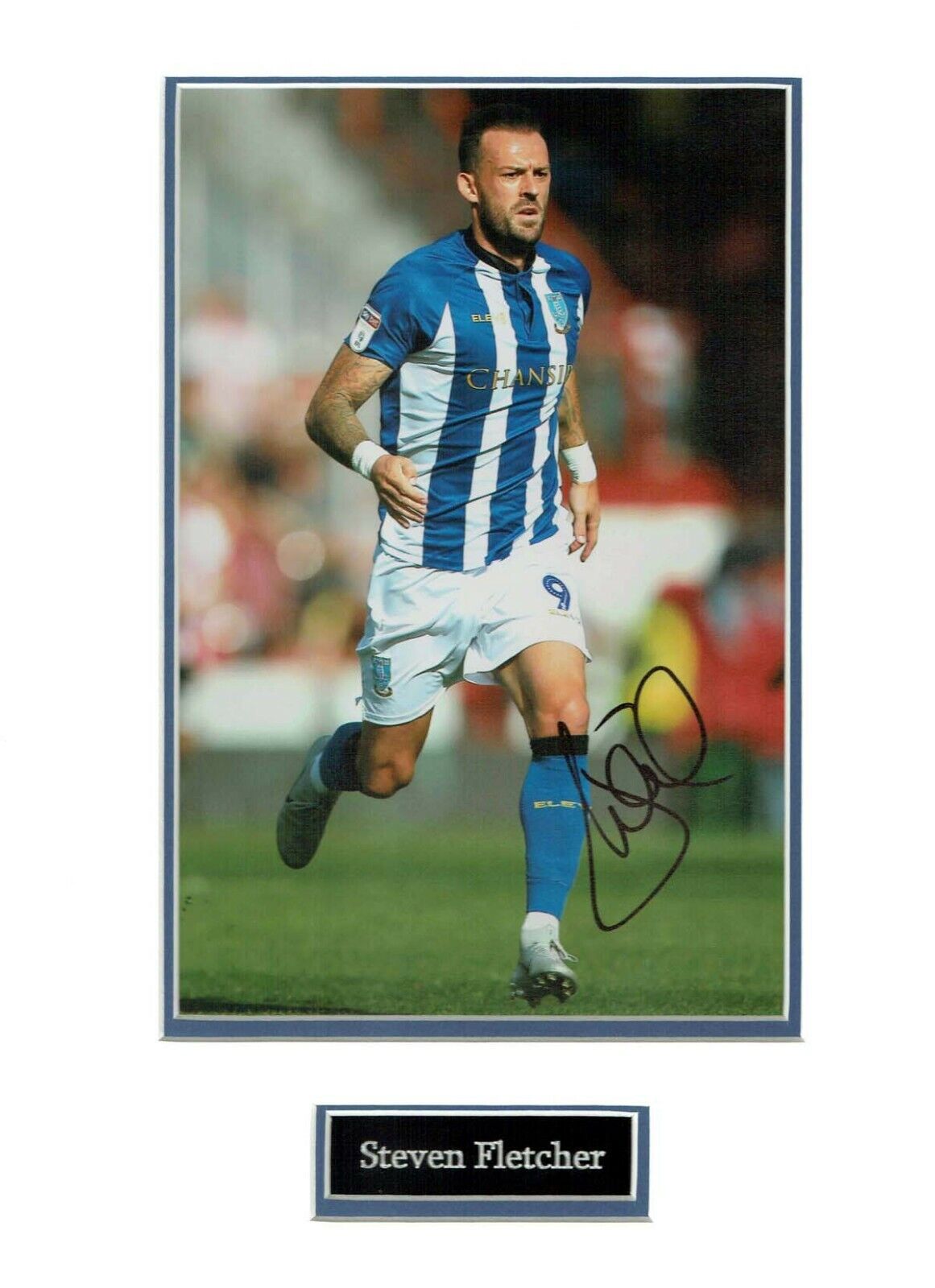 Steven FLETCHER Sheffield WEDNESDAY Signed Mounted Photo Poster painting Display 2 AFTAL COA