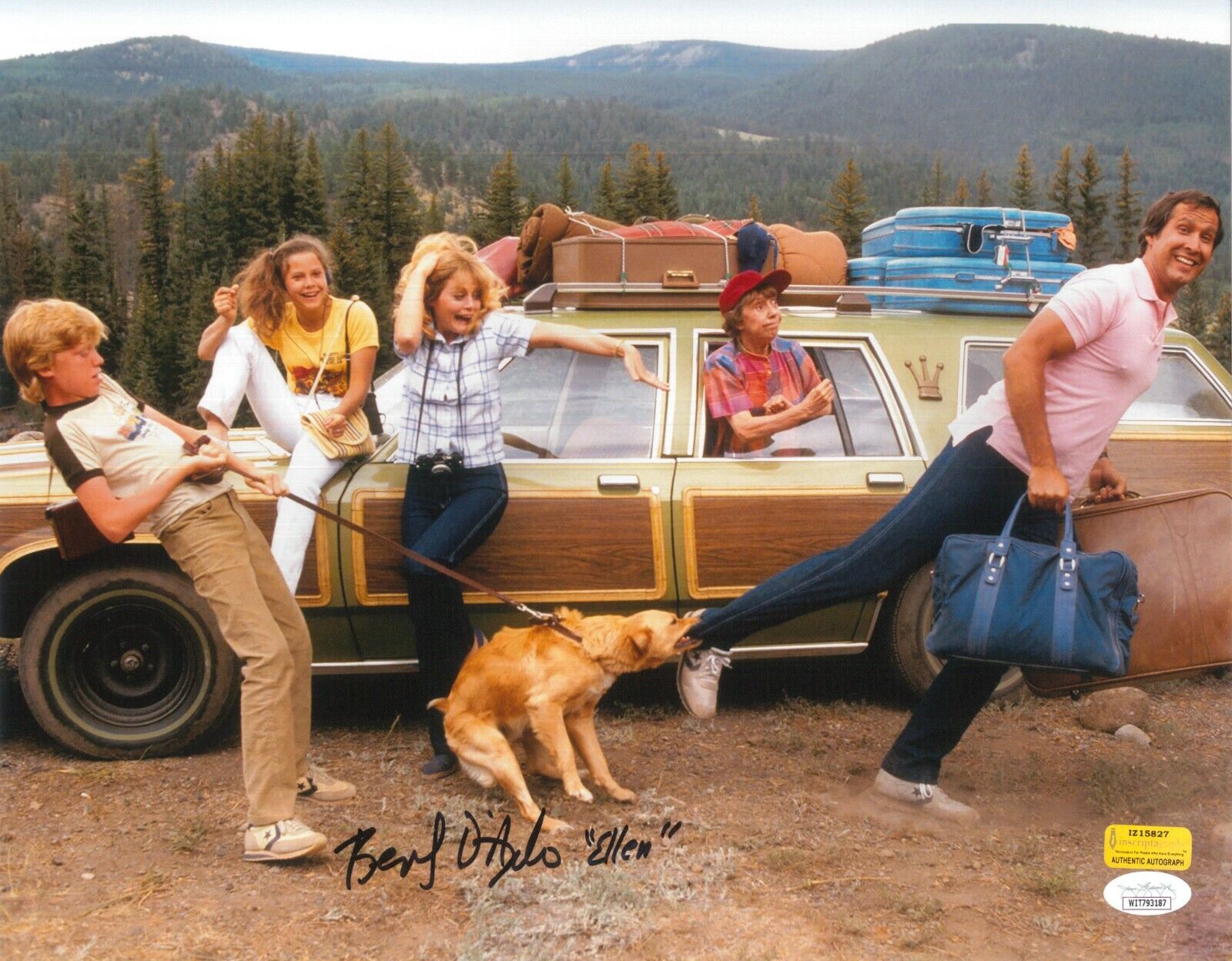 Beverly D'Angelo Autographed Vacation Car Cast 11x14 Photo Poster painting JSA COA Signed