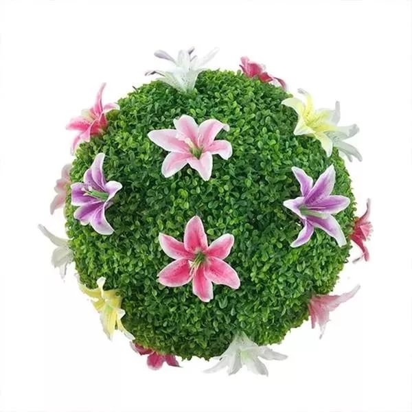 Simulation Plant Grass Ball