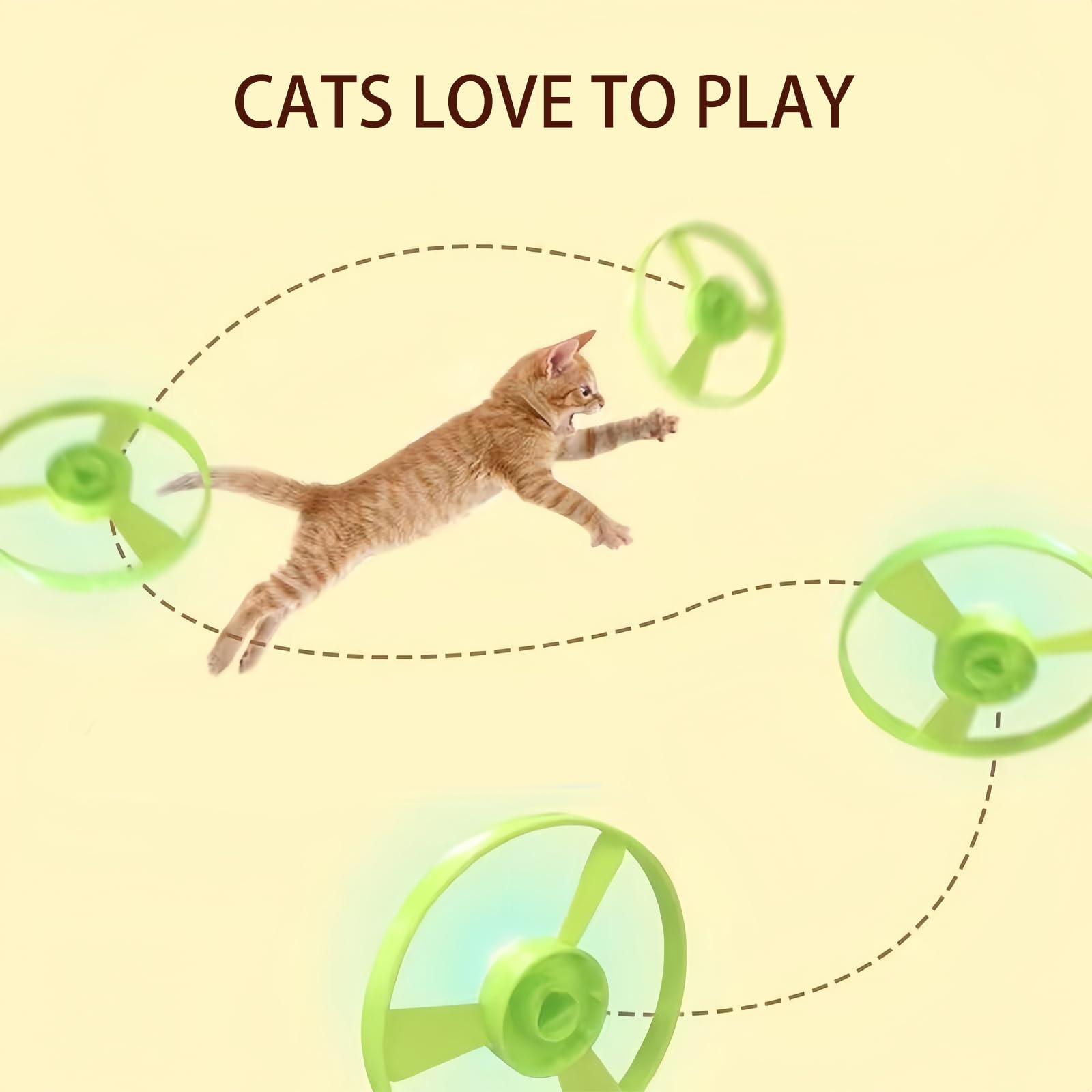 Cat playing with discs