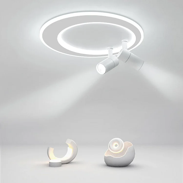 18'' LED Circular Flush Mount Modern Lighting with Spotlight - Appledas