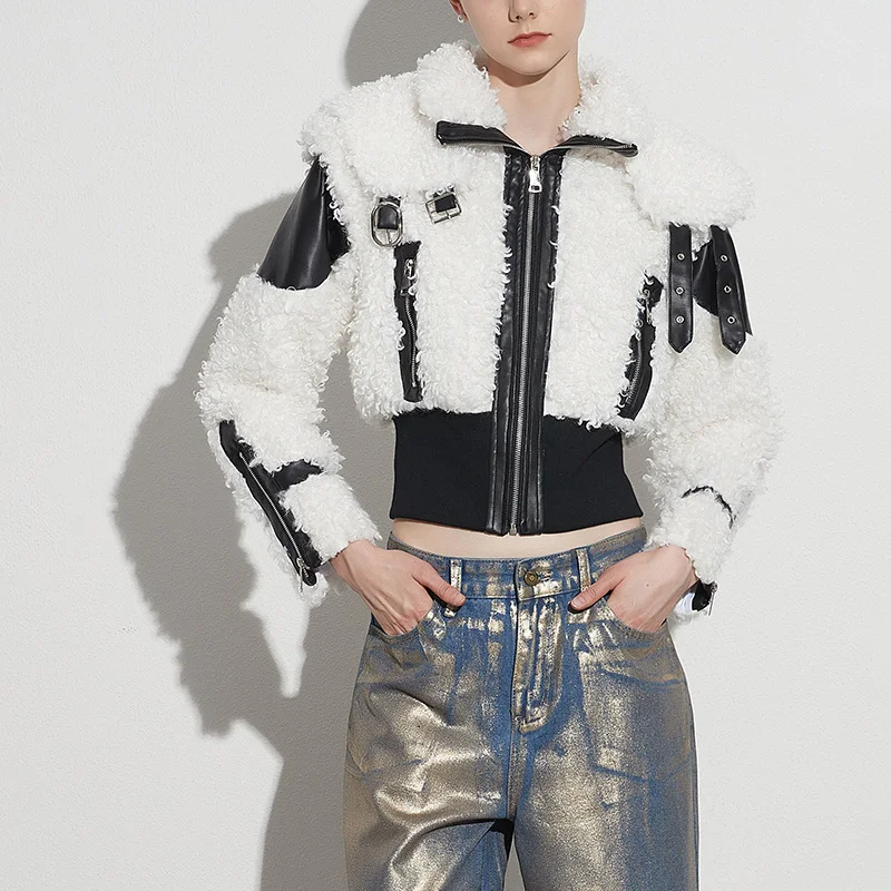 Toloer Toloer Wind Coat 2024 Winter New Premium Sense Lapel Lamb Wool PU Leather Splicing Female Short Coat-Outfit Ideas