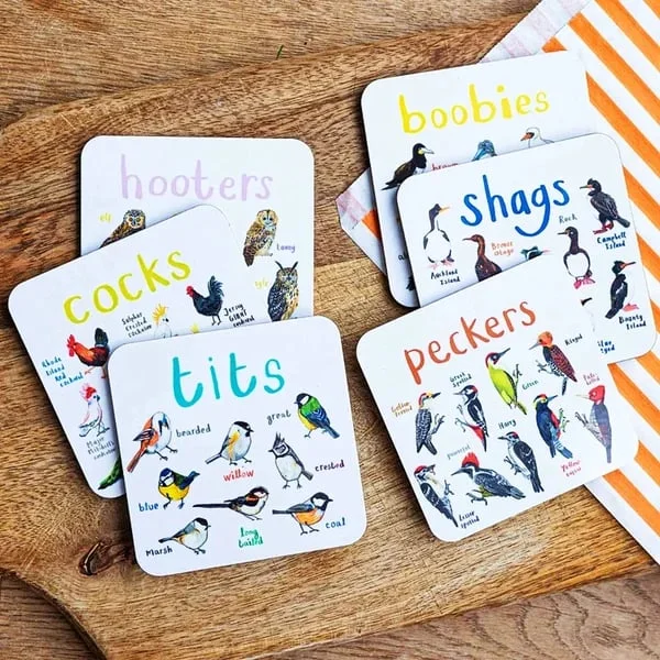 Last Day 70% OFF🐦Set of 6 Bird Pun Coasters