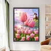 Tulip - 9CT Full Beaded Cross Stitch Kit(44x62cm)