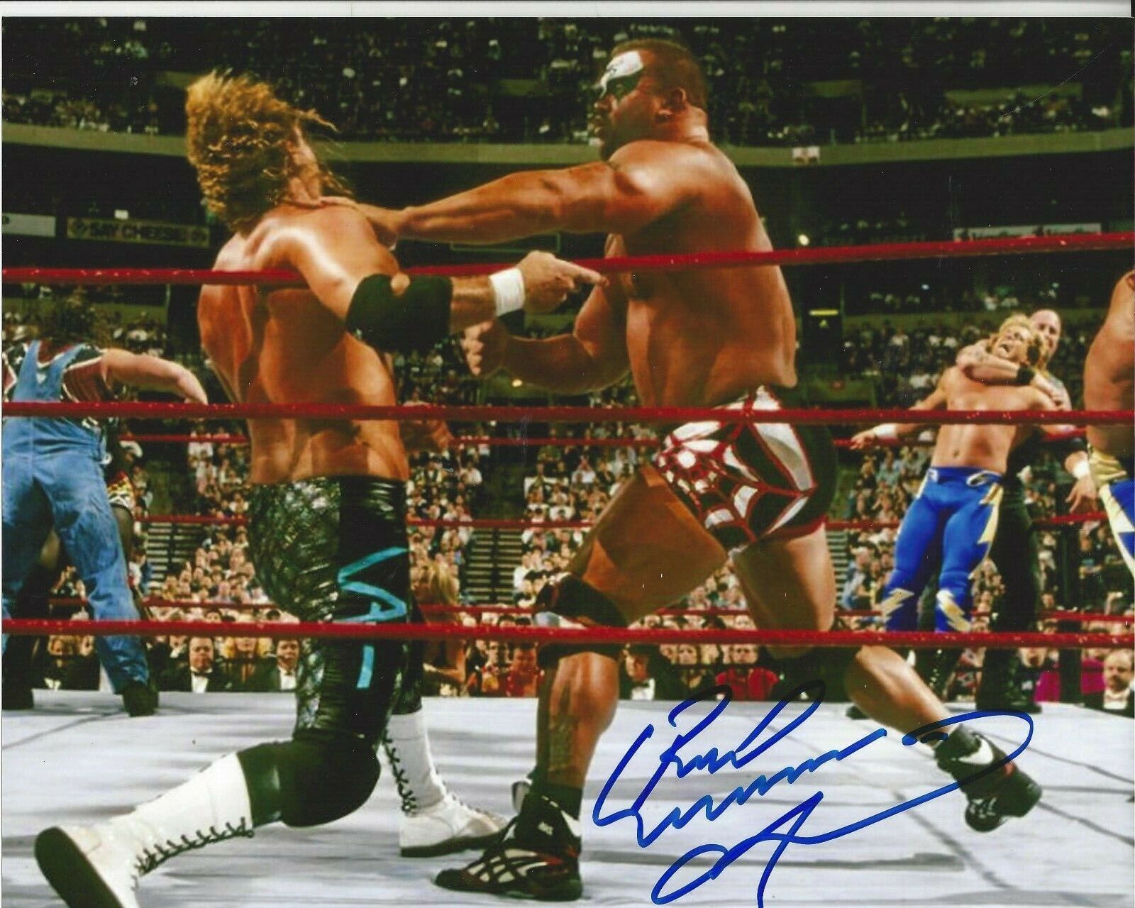 Animal WWE Autographed 8x102 WCW NWA Road Warriors LOD