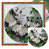 Cat Bird - Partial Embroidery 2 Strands 14CT Stamped Cross Stitch - 43*43CM