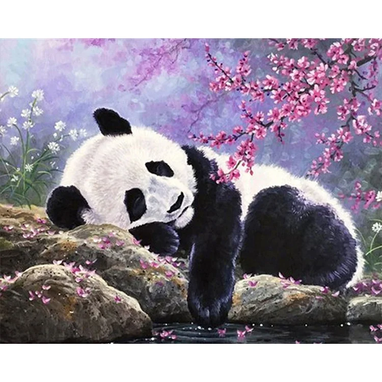 Panda - Painting By Numbers - 50*40CM gbfke