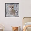 Crystal Owl-Special Shaped Diamond Painting