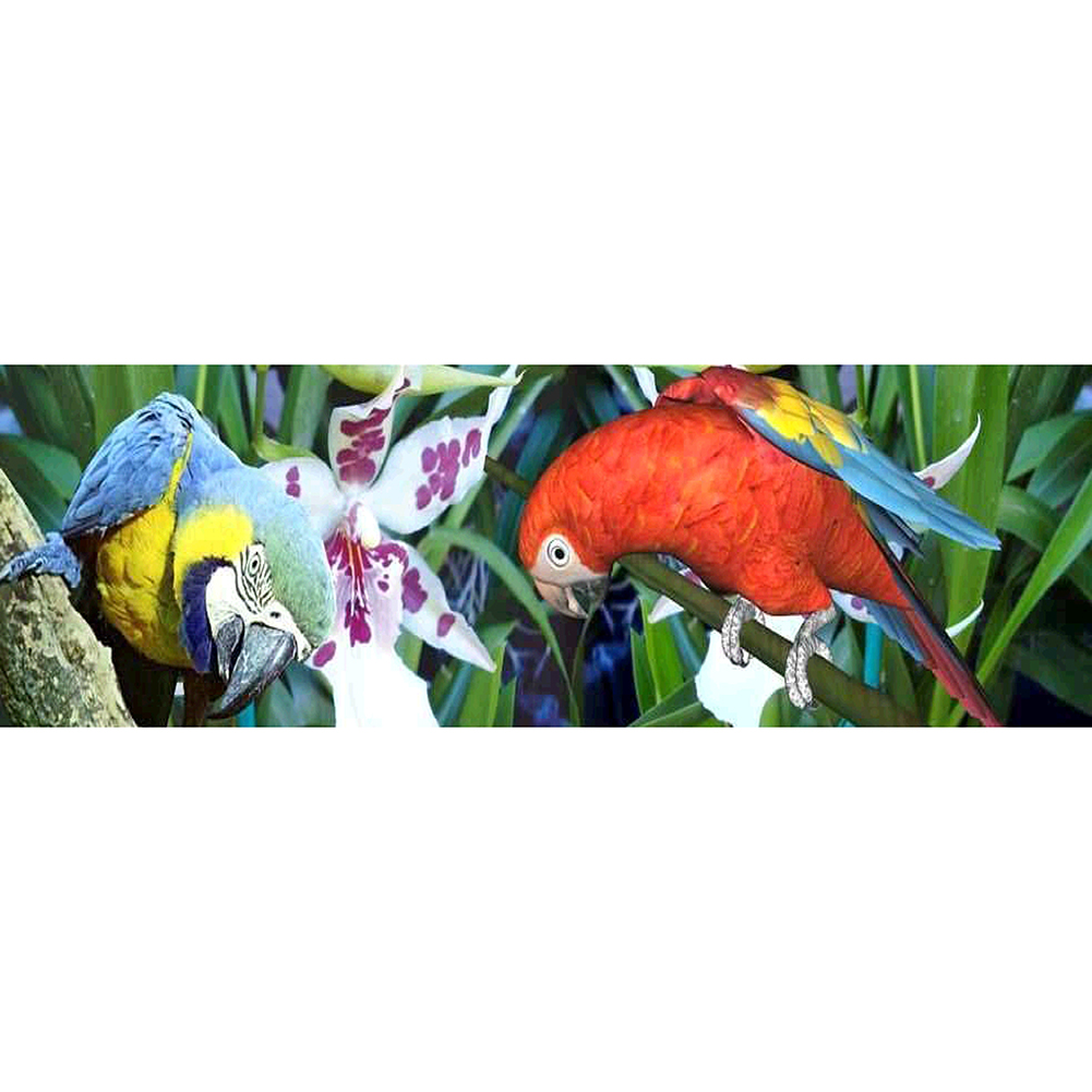 

80*30CM - Round Drill Diamond Painting - Two Bird, 501 Original