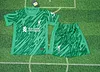 2024/2025 Kids Size Liverpool Green Goalkeeper Soccer Jersey 1:1 Thai Quality 