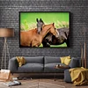 Diamond Painting -DIY Full Square Drill Snuggling Horses