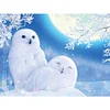 (5 Sizes) White Owl-Full Square Diamond Painting